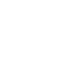 IGV