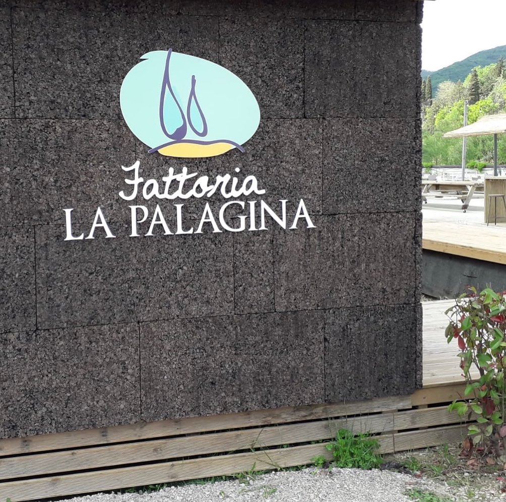 182690804_4214771958573310_7394542502402006201_n